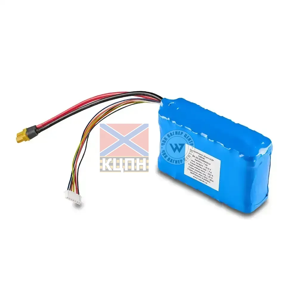 Акумуляторна збірка 6S2P (18650) 6-2596 фото