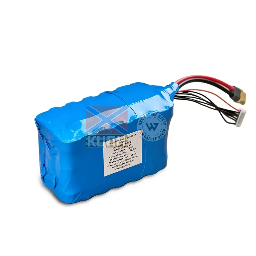 Акумуляторна збірка 6S3P (18650) 6-2590 фото