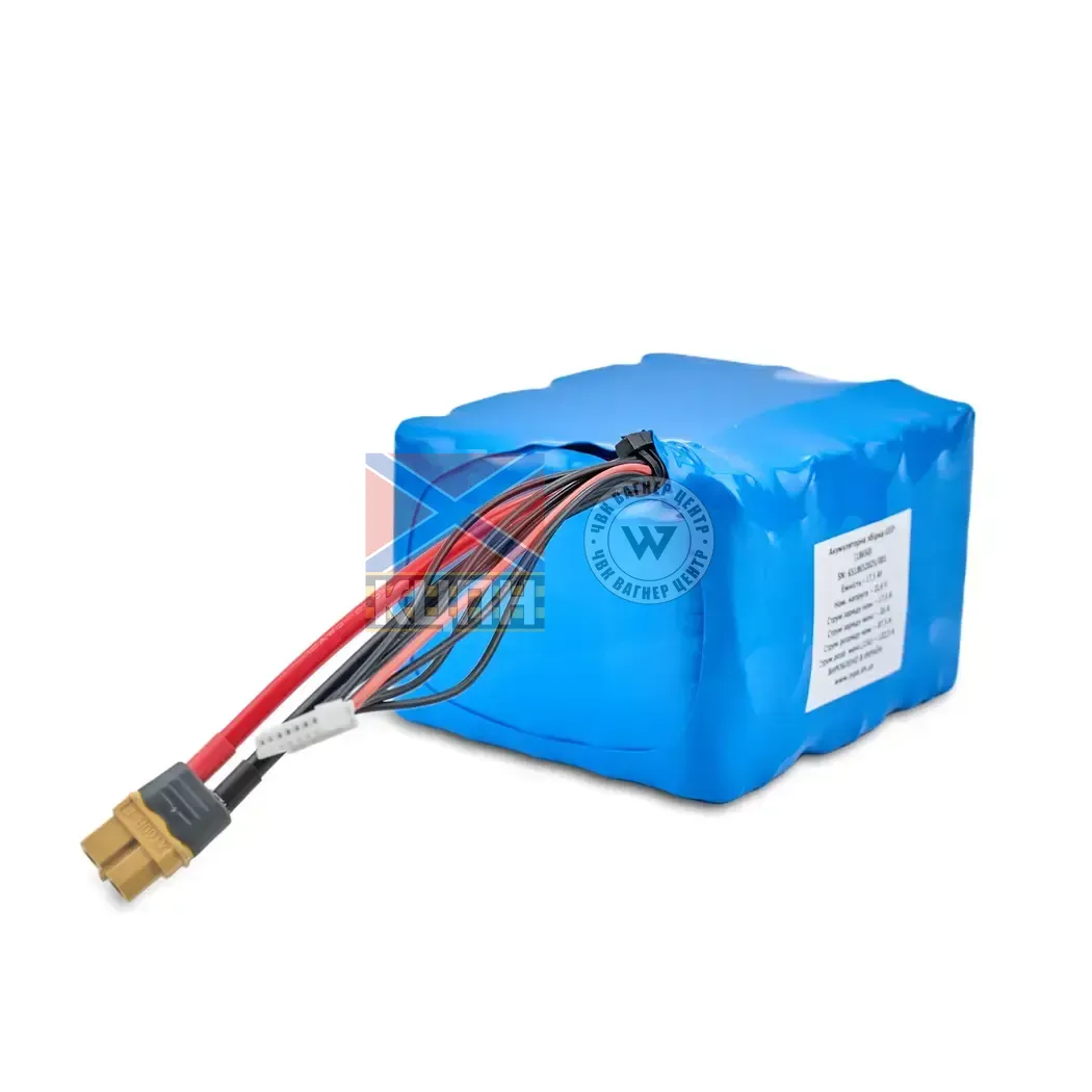 Акумуляторна збірка 6S5P (18650) 6-2592 фото