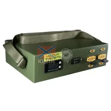 Accum для РЕБ 1270 Вт·год BMS 6-1259 фото