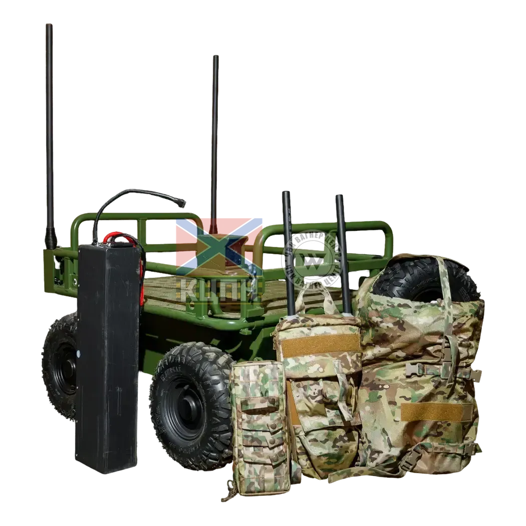 Рись 2-1078 фото