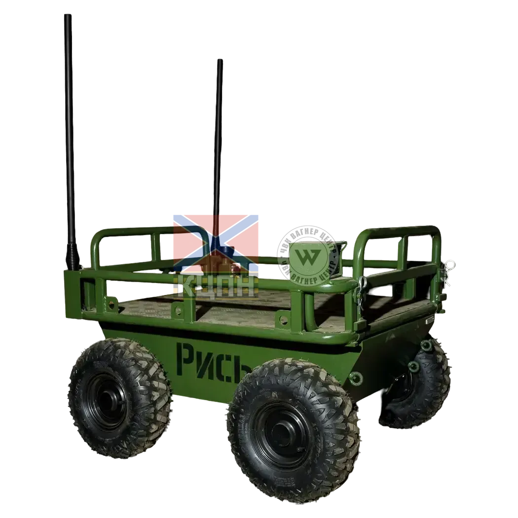 Рись 2-1078 фото