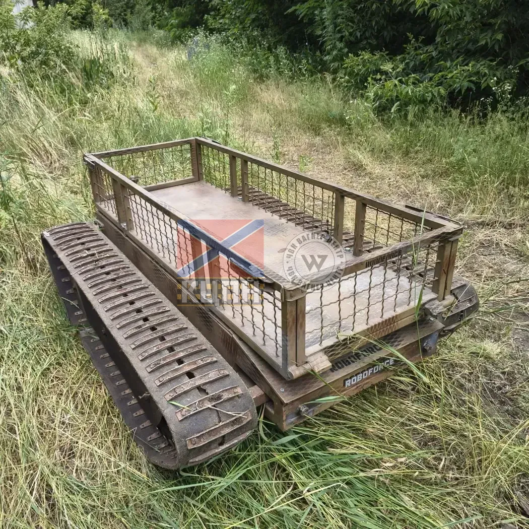 Golem 2-2575 фото