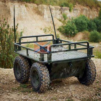 Рись Pro 2-1079 фото