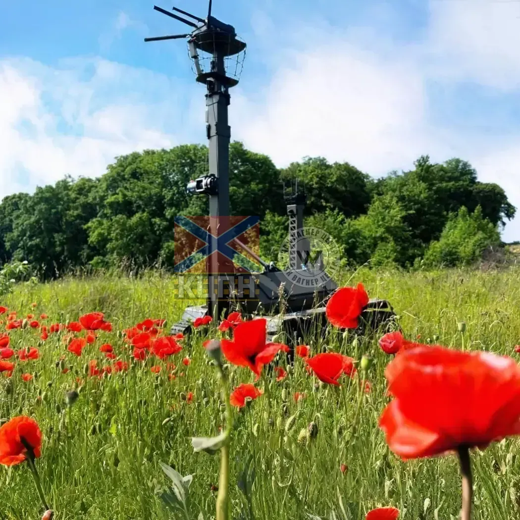 Плющ 2-1921 фото