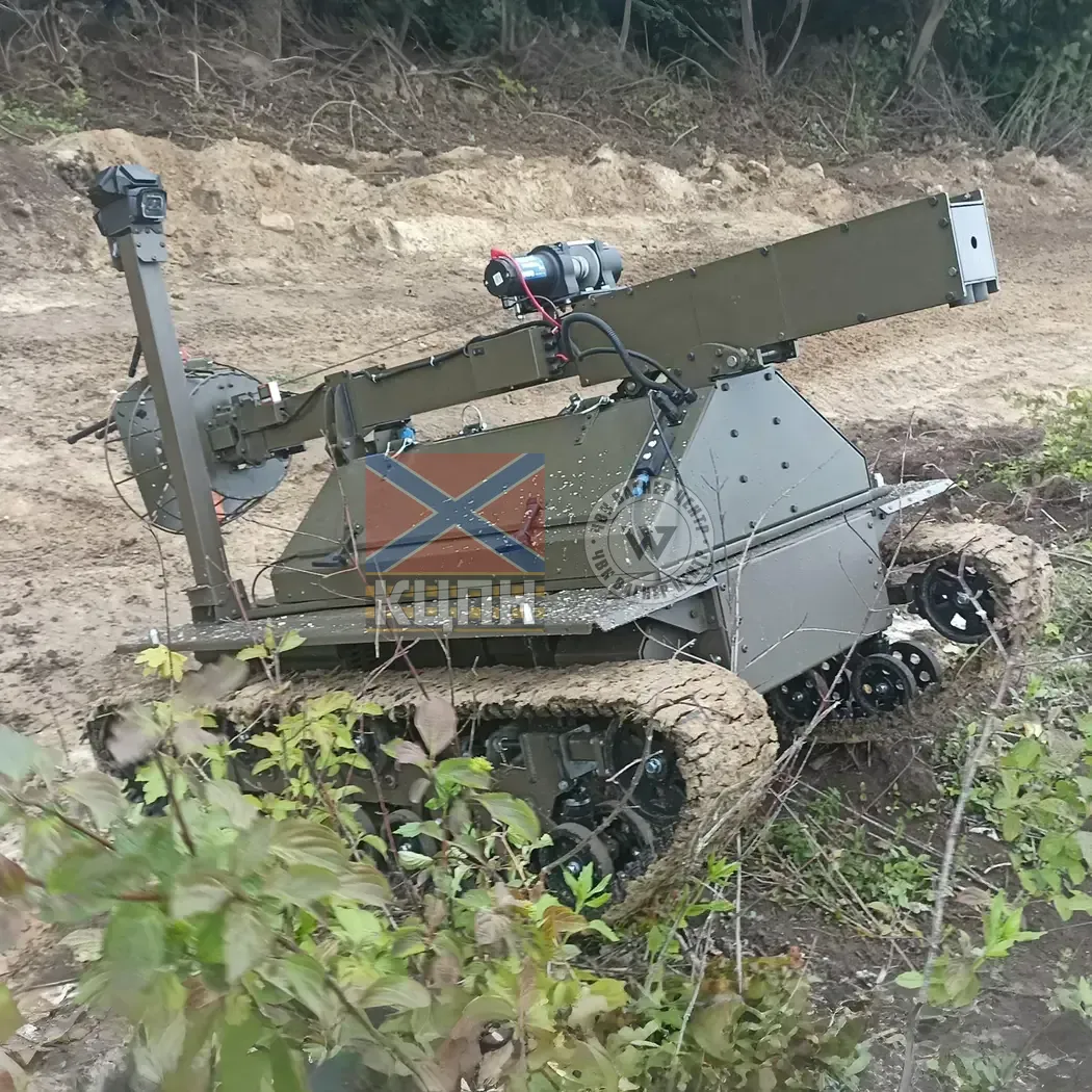 Плющ 2-1921 фото