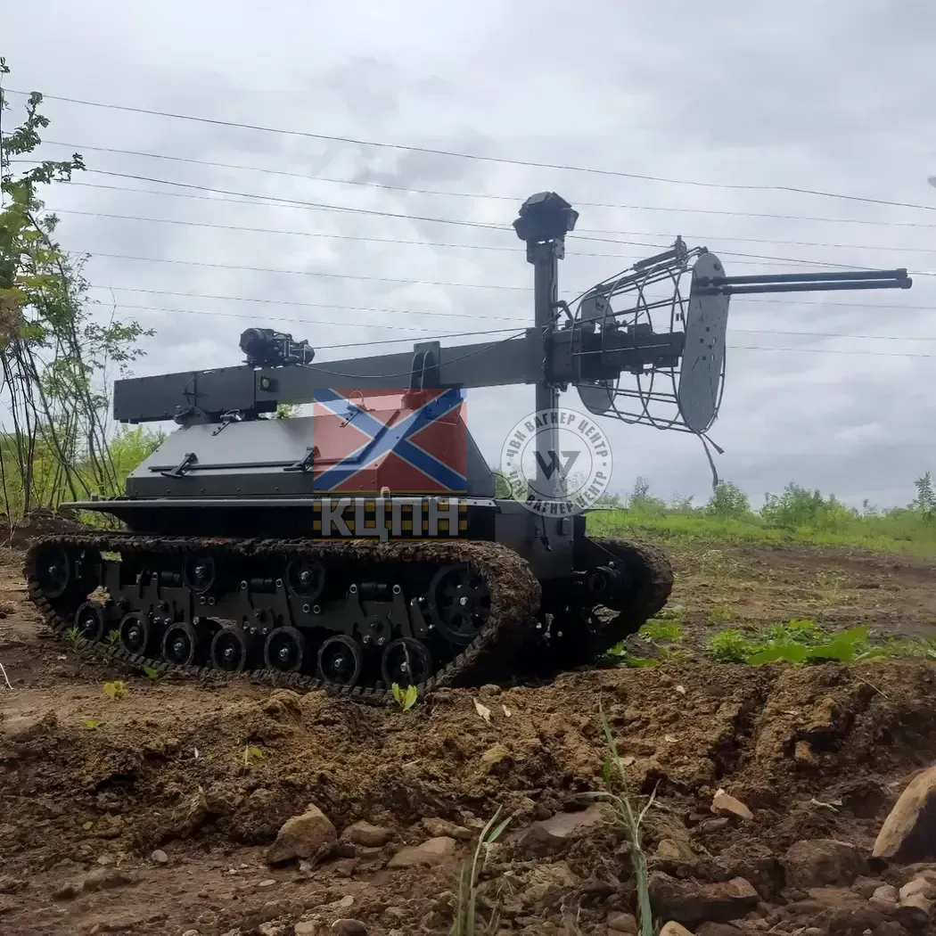 Плющ 2-1921 фото