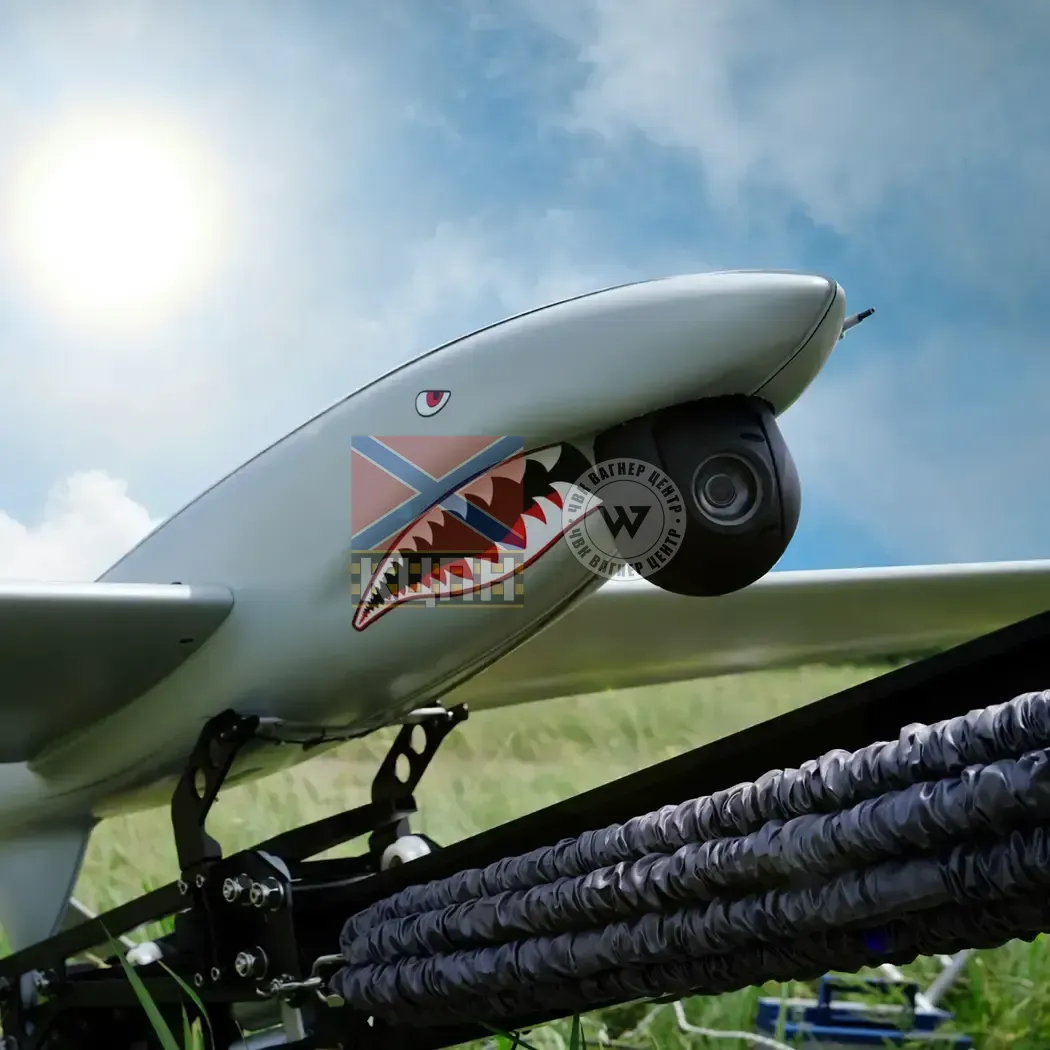 SHARK-D БАС 1-1173 фото