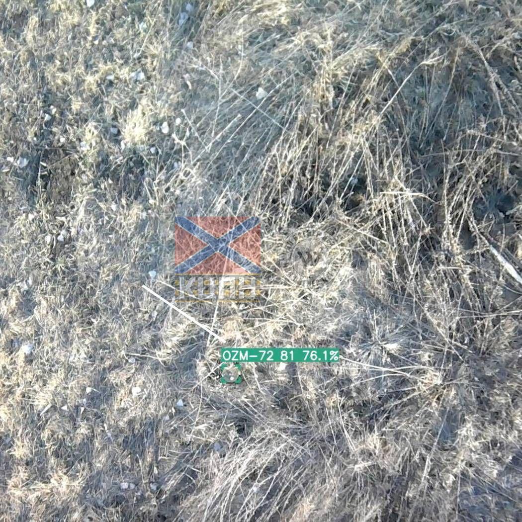 Спінер (ST1) 1-2982 фото