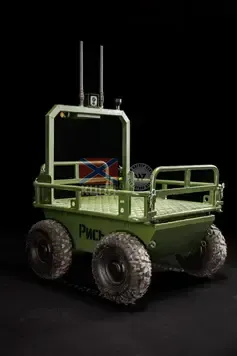 Рись 2-1078 фото