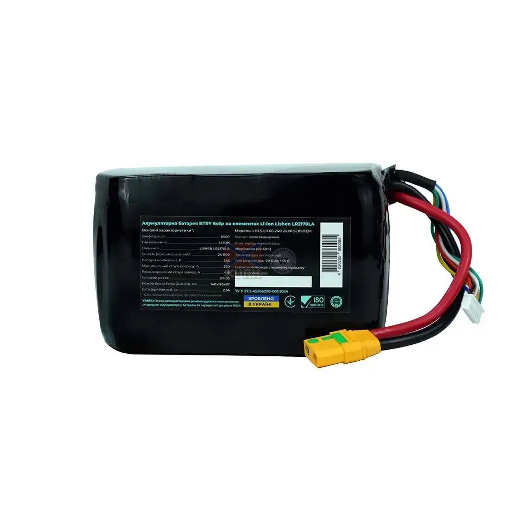 BTRY 24000 6s6p Lishen  6-1240 фото