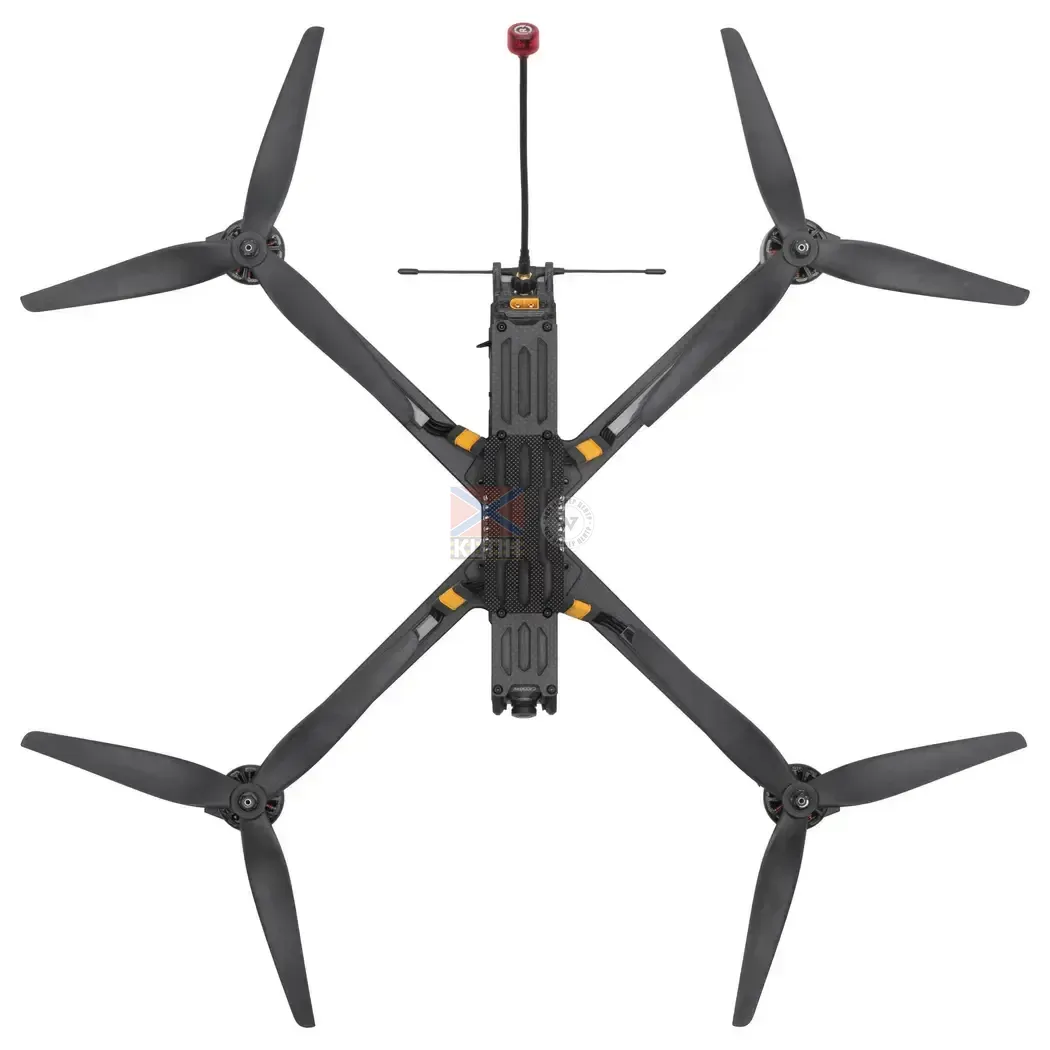 FPV Blackbird Wing 10'  1-1724 фото