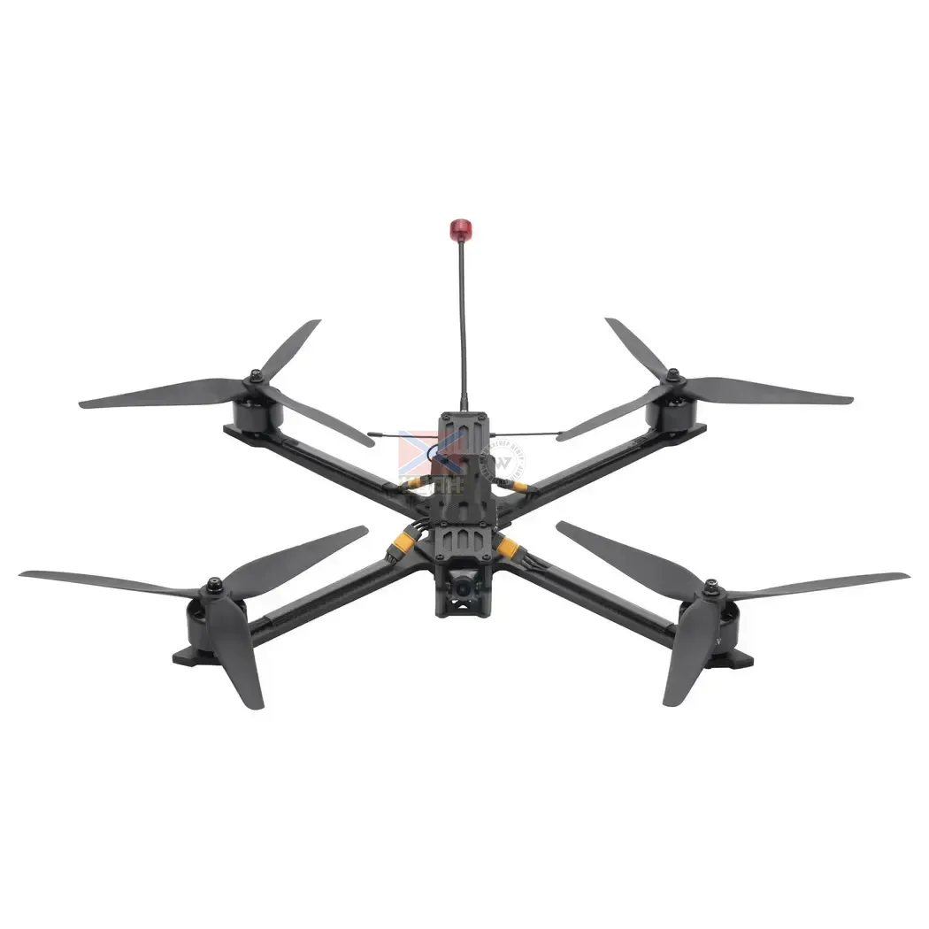 FPV Blackbird Wing 10'  1-1724 фото