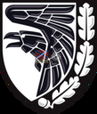 93 ОМБр